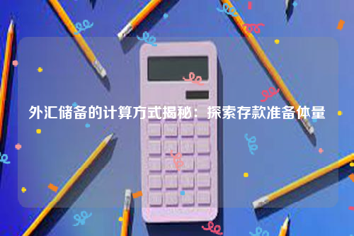 外汇储备的计算方式揭秘：探索存款准备体量