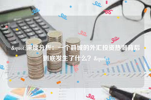 "深度分析：一个县城的外汇投资热潮背后到底发生了什么？"